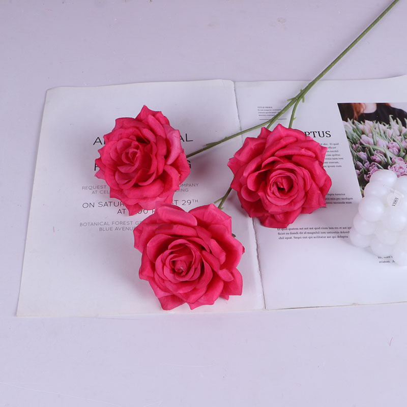 삼두 다이아몬드 로즈 (잎없는)