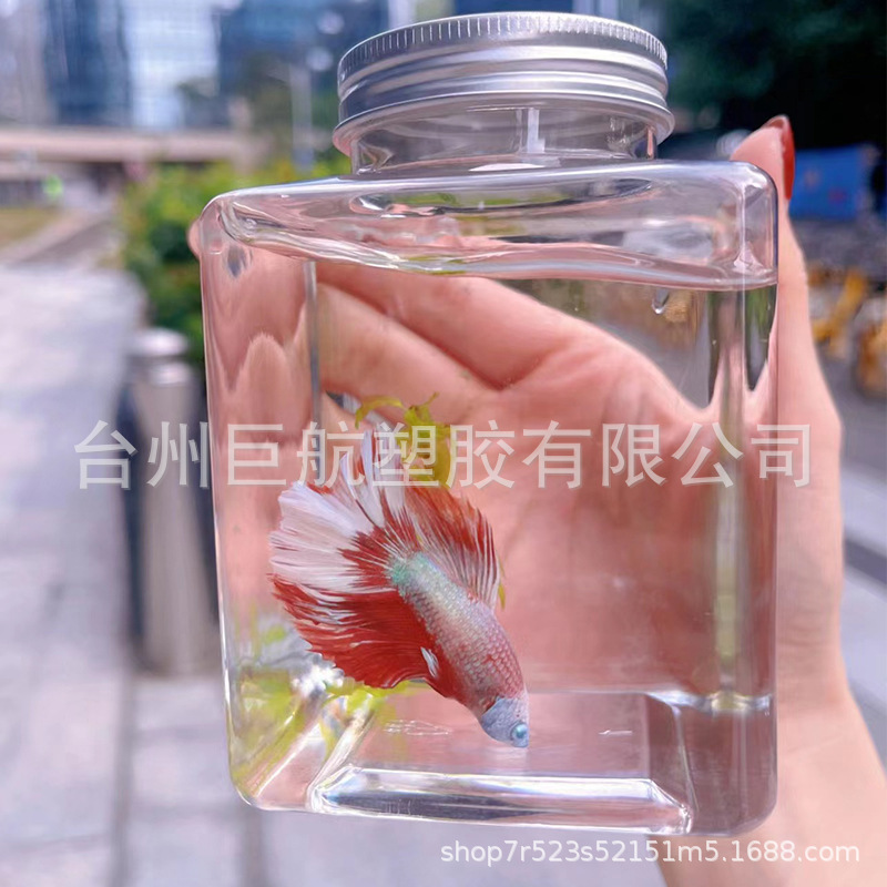 塑料方形斗鱼罐生态微景小罐泡泡鱼水草金鱼养殖塑料PET瓶摆摊