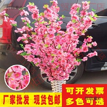�һ�֦�ɻ�֦��֧���D÷֦�ٻ�������c�b͏d���������̫��