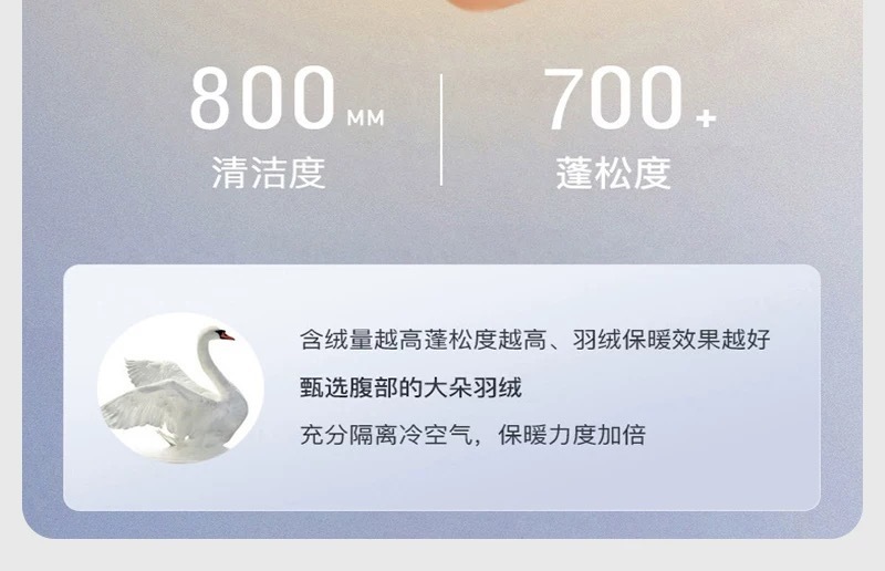 3d1aee28-6c22-43b2-9b19-46ebe69a8351.jpe