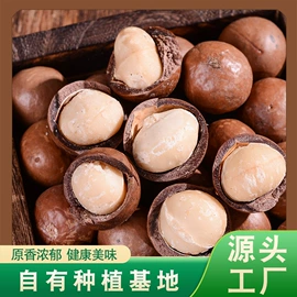 干果生货;夏威夷果;核桃