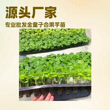 Դ�^�S�ҹ���΢���^�҃�ȤζС���Խ�ͯ�ӺϹ���@�ֻ��ܷN�����l