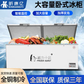 卧式冰柜商用大容量冷藏保鲜冷柜家用单双温冰箱大型展示柜速冻柜