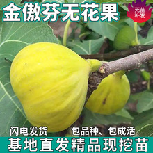 һ�����l����ҟo���������ϱ���ͥԺ�������ԷNֲ�ش�޽ӹ�����