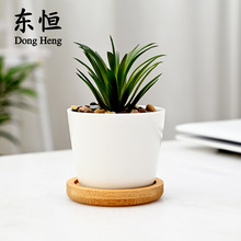 东恒 跨境白色多肉花盆简约陶瓷可爱白瓷小盆亚马逊家居园艺盆