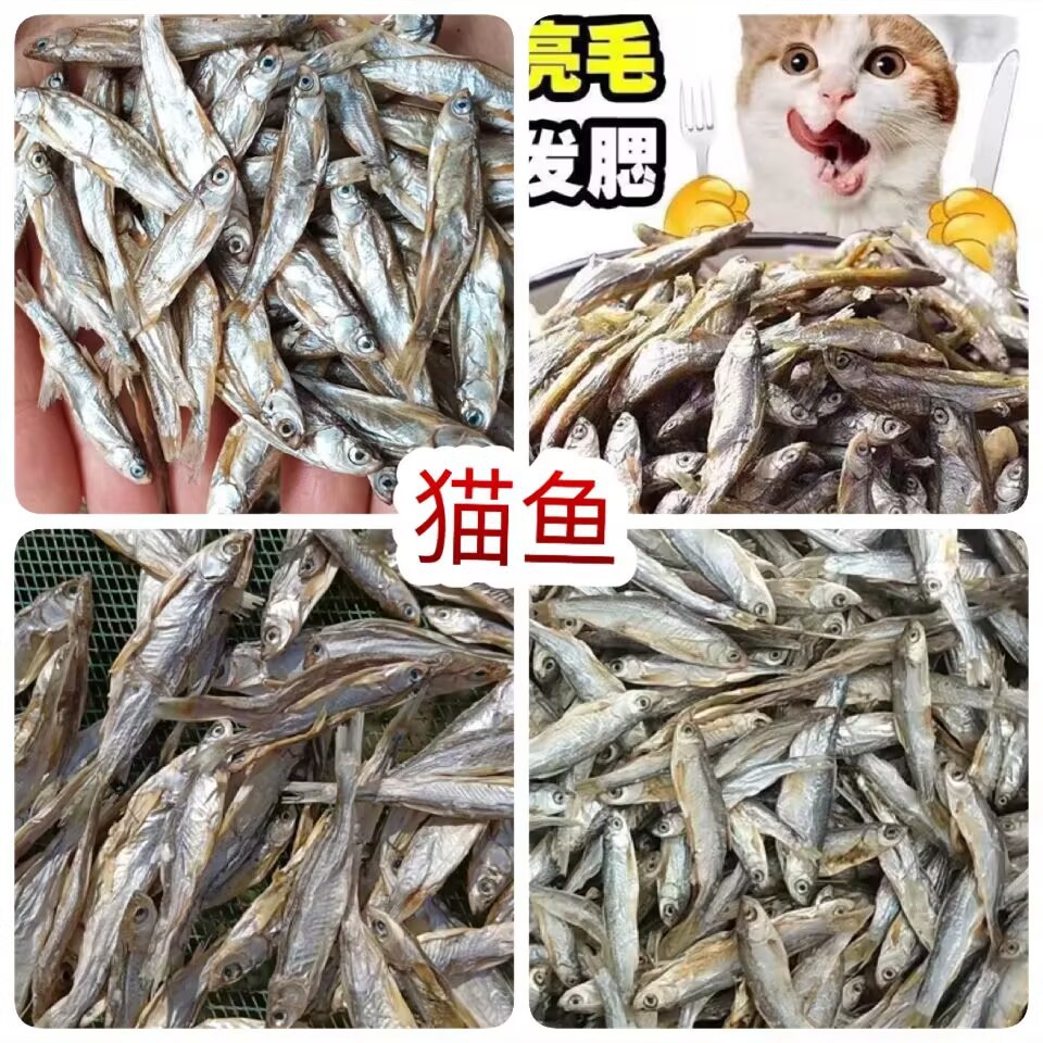 宠物零食鱼干猫零食小鱼干淡干鱼干猫咪磨牙猫粮源头工厂批发