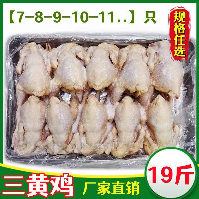 冷冻三黄鸡整箱批发 白条鸡商用 20斤7-10只 童子鸡 二级三黄鸡