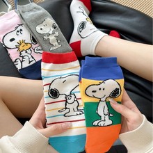 ���Q�¿ͨ���mС��������mŮʿ�����m�ӌWԺ�L���m��С��