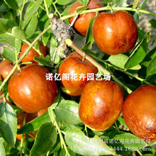 �O�����r���� �����r������ �޽ӗ��Ә��� �Ϸ������Nֲ����Y��