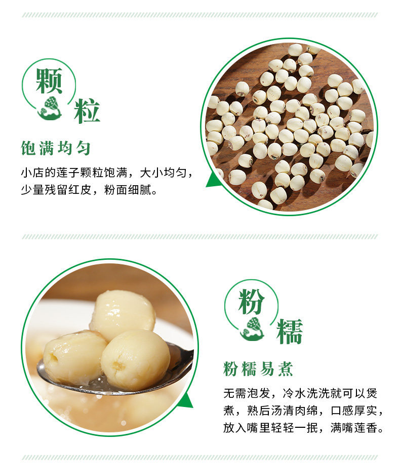 Dried Lotus Seeds with Core Bai Lian Zi 500g Wild White Lotus Seeds for Soup and Tea quality and texture