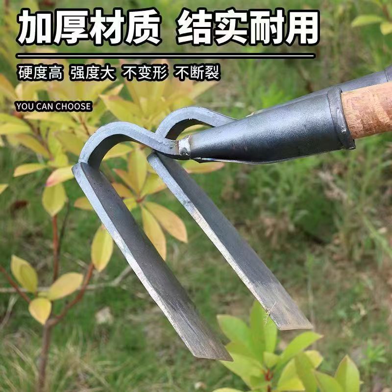 微信图片_20260627113402_143_2.jpg