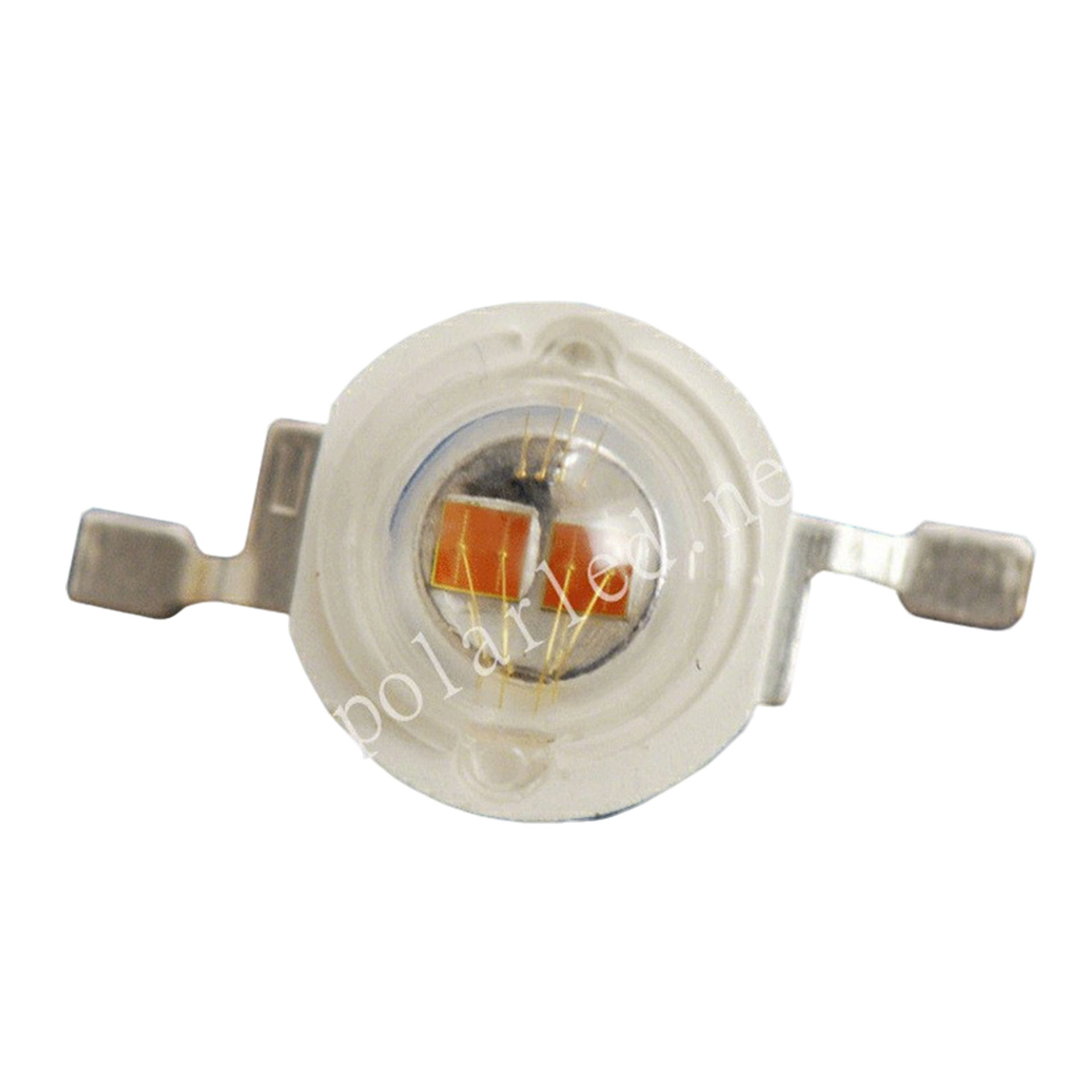 ֱ������1w���ʻƹ����  ������оƬ ֧ͭ�ܴ�����