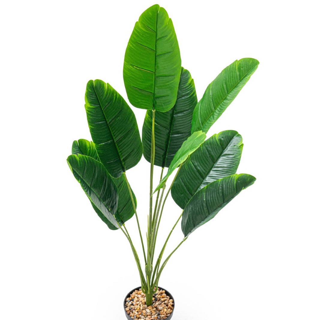 Simulación de plantas de plantación de hojas verdes de banana del norte de Europa plantación de árboles falsos paisajísticos transfronterizos