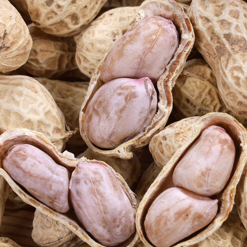 花生零食龙岩蒜香味五香味水煮白晒带壳花生米精选150g-1500g