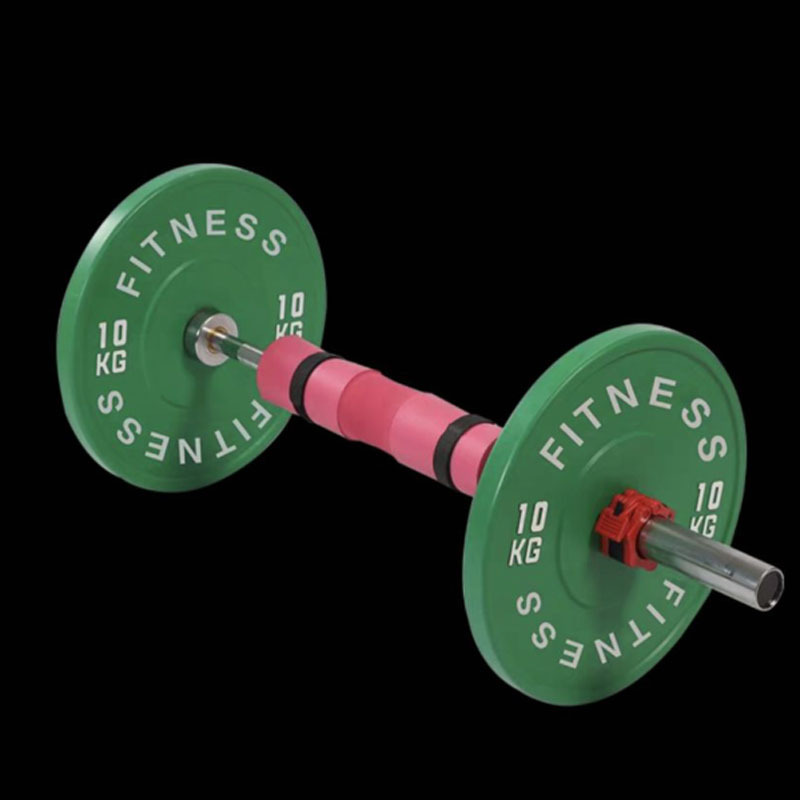 Competitive Macaron Color Barbell Piece Large Hole Women's Second Generation Barbell Hip Bridge Set Fitness Barbell