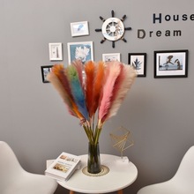 �¿���^�u׃�JȔ����ë��c���滨��β�ͲݼҾ��bɻ�����ֲ��