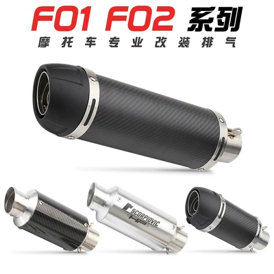 Exhaust pipe: LeoVince F02 carbon fiber