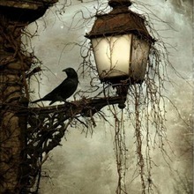 路灯小鸟源头厂家5d钻石画满钻砖石绣diy外贸亚马逊代发跨