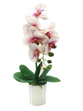 3d��ӡ�����m���滨�Ӽ��b[�������辰ֲ��ٻ��������l