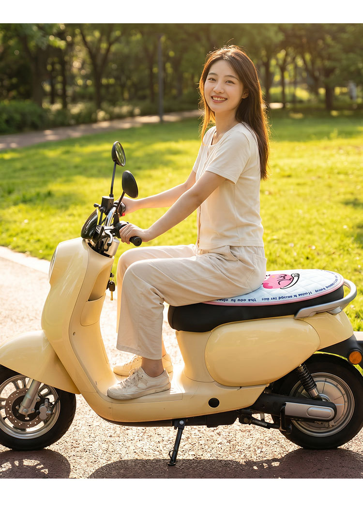Electric Vehicle Sun Protection Seat Cushion, Double-Layer Flip-Up Pad, Battery Seat Cover, Motorcycle Seat Pad, Seat Cover, Heat-Insulating Seat Cover