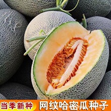 �W�y���۹ϷN���ļ��½��W�y���ܹϷN�Ӵ����ﲥͥԺ����ˮ���N��