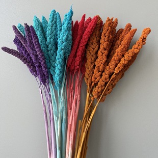 ��ϸɻ�С������ins�����ֹ���Ʒ�����Ҿ��b͏d�[���_�I�Y��