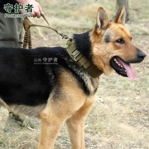 Z527 tactical dog collar double iron buckle nylon dog collar pet outdoor dog leash training tactical dog leash