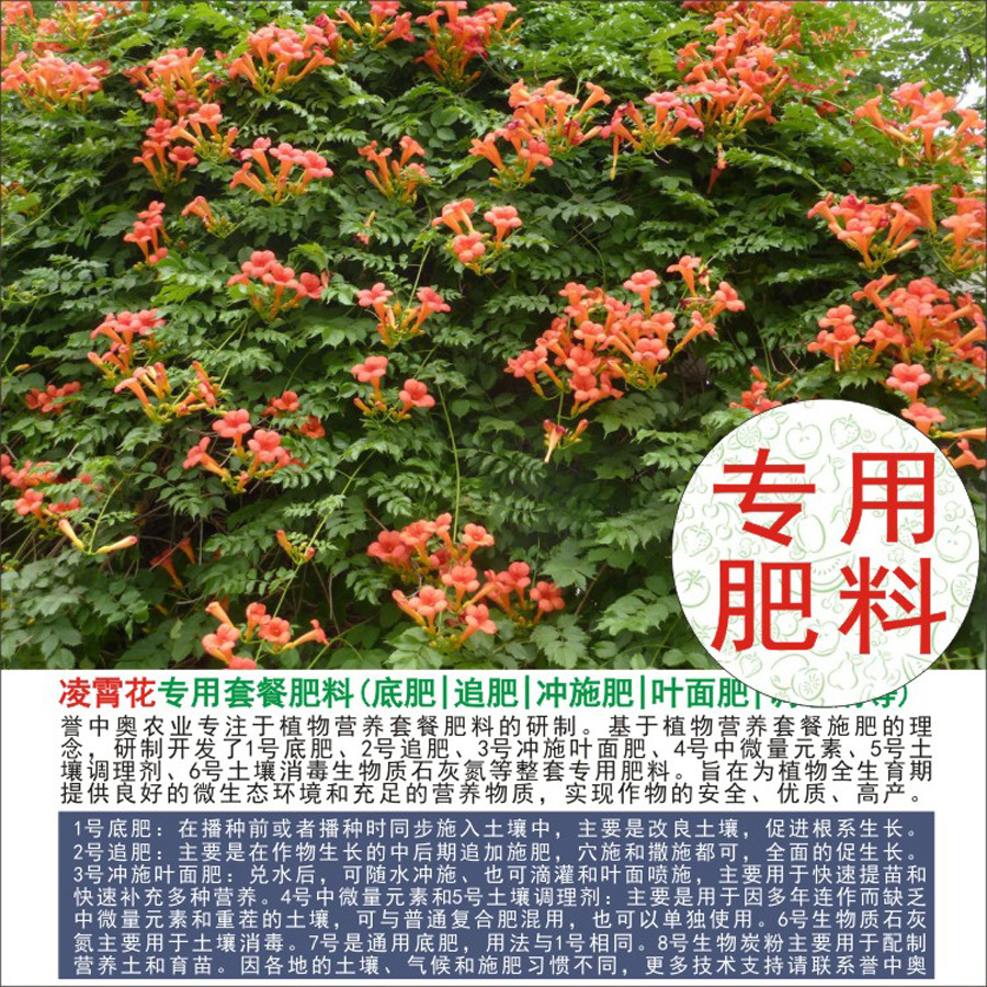 50�����а�������ר���л��ʸ��Ϸʵ׷�׷��Ҷ��ʳ�ʩ��ˮ�ܷ�