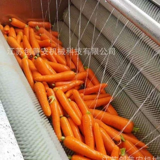 自动化各类果蔬清洗设备  厂家定制 品质保证