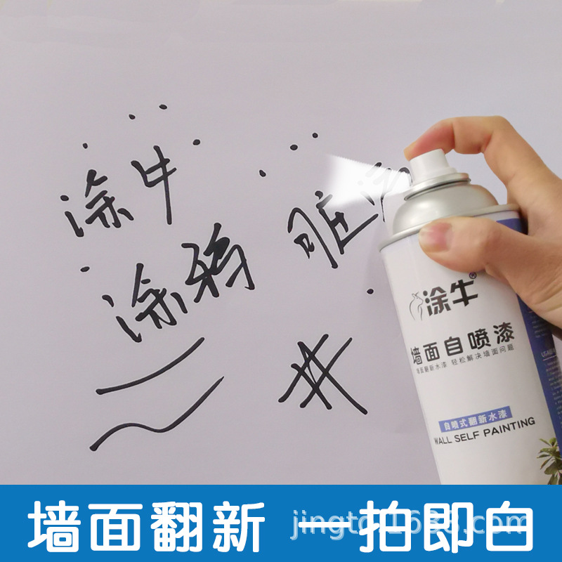 Manufactor wholesale metope Mending paint Aerosol  white Retread Latex paint White walls Water repair 450ml