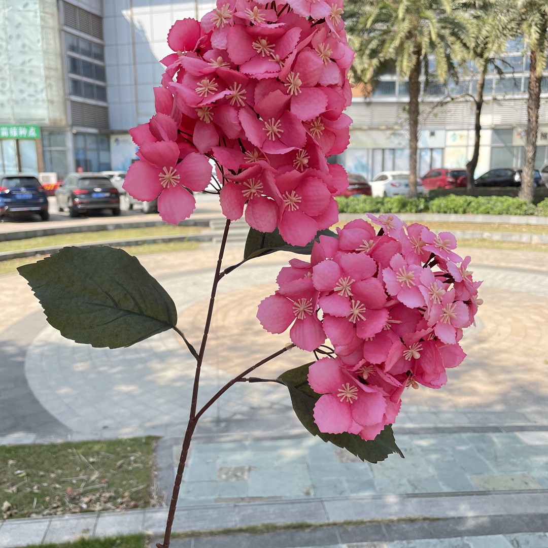 2-cabeza pagoda Hortensia Rosa Rojo_2