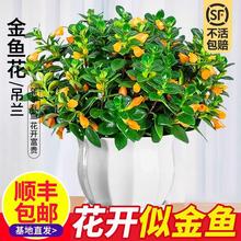 ��Ʒ���~���m���Ԏ������҃��̨�ﶬ���B���ļ��ͺ��_���ܾGֲ��