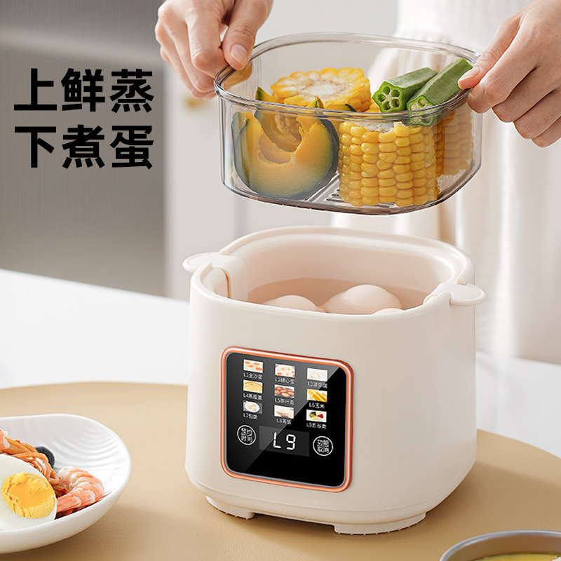 2025新款智能蒸蛋机溏心蛋温泉蛋多功能早餐机家用迷你煮蛋器|undefined