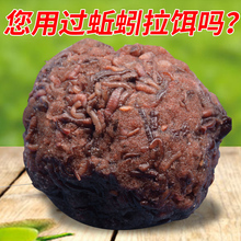 云上飘蚯蚓红虫伴侣拉饵活饵秋冬季野钓钓鱼专用浓腥鲫鱼鲤鱼饵料