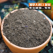 ʳ�xֲ�����Nֲ���I�B������̿�����|ˮ̦��ω�ݟo��