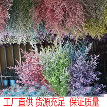 ˲ݸɻ120/ĸHDIYɻ޹ϞTλ