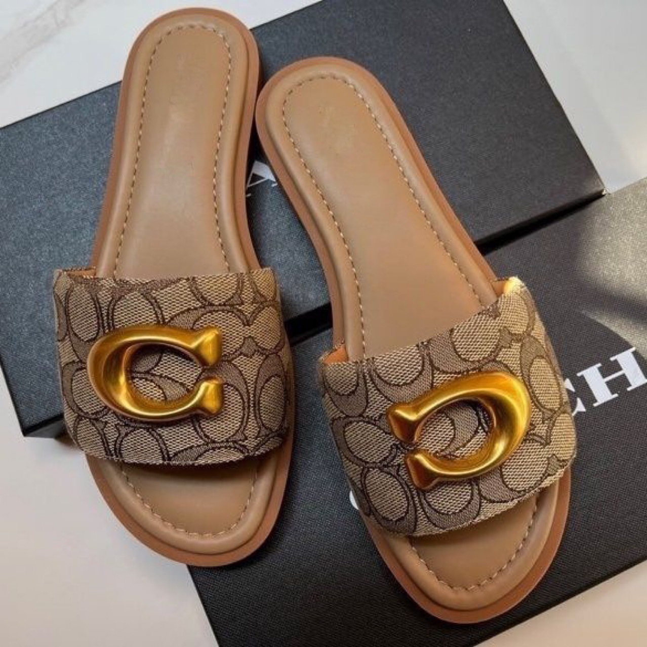 2025 verano nuevo comercio exterior zapatos de lona de mujer zapatillas de fondo plano casual universal moda moda zapatillas de piel suave image 4