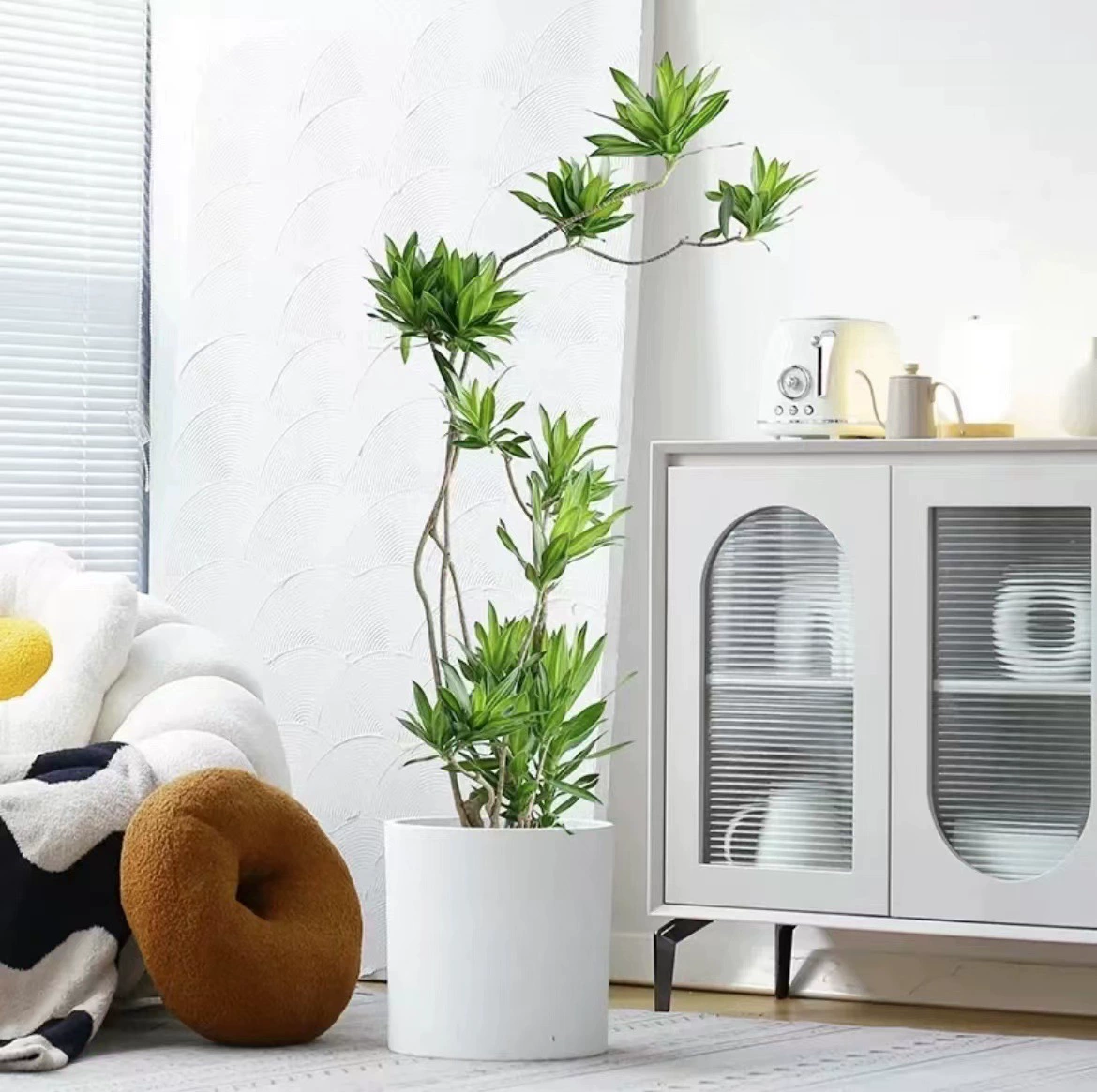 Большая Лилия бамбук Горшечное растение комнатное зеленое растение Гостиная Офис очищает воздух хорошее повышение Легкая жизнь в скандинавском стиле бонсай