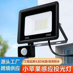 跨境小苹果感应投光灯50W100W足功率别墅庭院灯户外防水led泛光灯