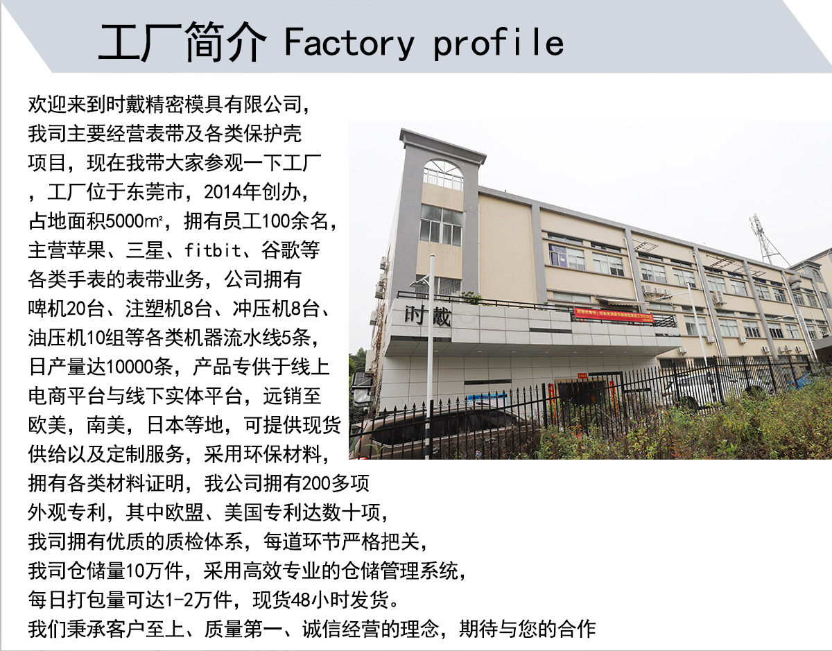 时戴精密模具_01