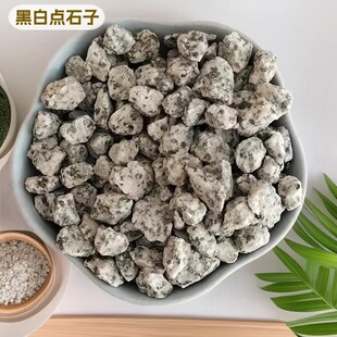 �����ڰ��cʯ�ӈ@���쾰ͥԺ��O��֥���ʯ�ӻ�������ʯ���Bʯ��