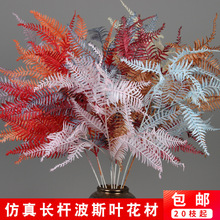 ��c���滨�L�U��˹�~ ��Y�ò廨�ľƵ겼���b�֧������~��