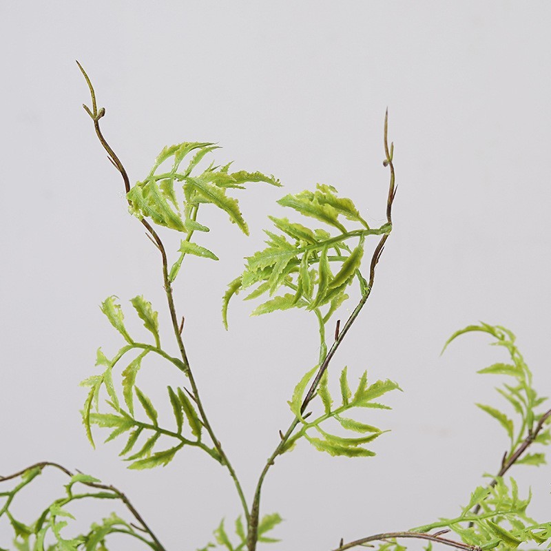 仿真绿植蕨叶 金沙蕨草软胶手感家居装饰样板间插花仿真植物蕨类|undefined