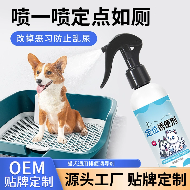 Домашние животные туалетное позиционирование дефекация собачьи собаки мочеиспускание