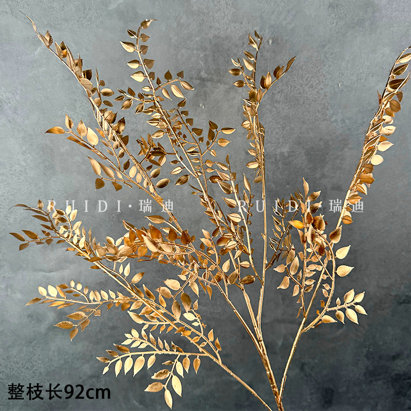 백단잎—J