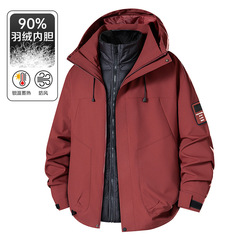 可拆卸两件套羽绒冲锋衣户外防风防水三合一加绒加厚登山服女潮