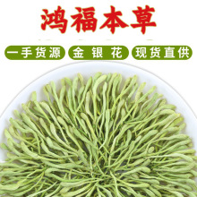 y Ϸylֱɽy ɢb500gݲ