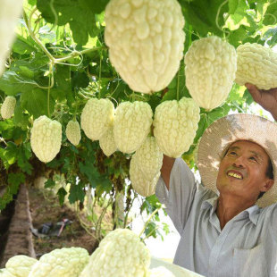 �O����ϷN�ݷN���� �ļ������߲��Ӱ����ش�׸߮aˮ���N�Ӱ��]