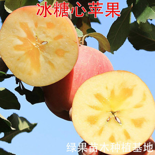 �½��������O���� �޽��O������ ���ļt��ʿ�O�� ������ľ