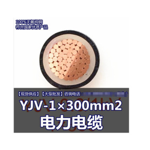 ZR-YJV22��ȼ�z�b15KV��ؾ�3��о50-300ƽ�����˽��~��|